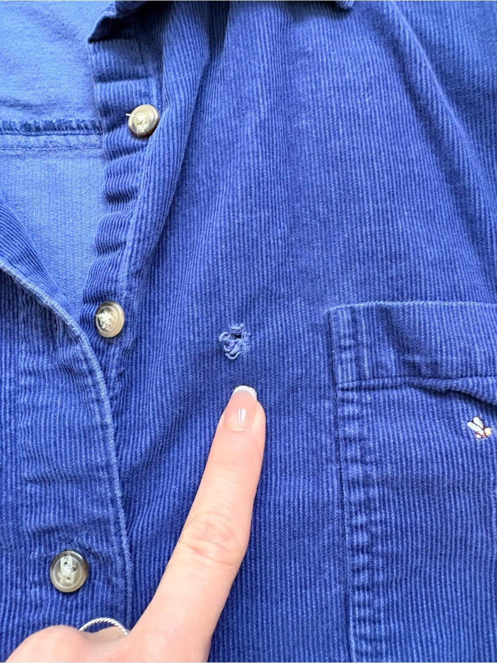 Disney Navy Blue Button-Down Shirt with Winnie the Pooh & Tigger Embroidery - Picture 7 of 9